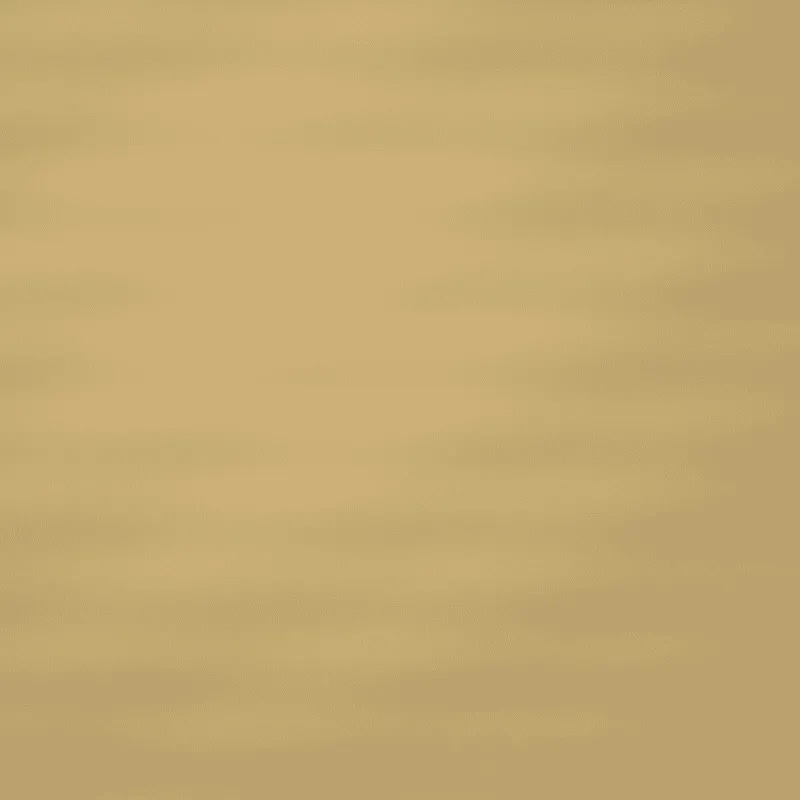 color_04_香槟金