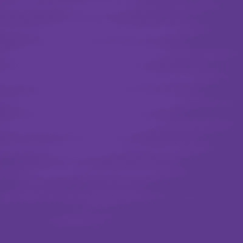 color_09_紫色